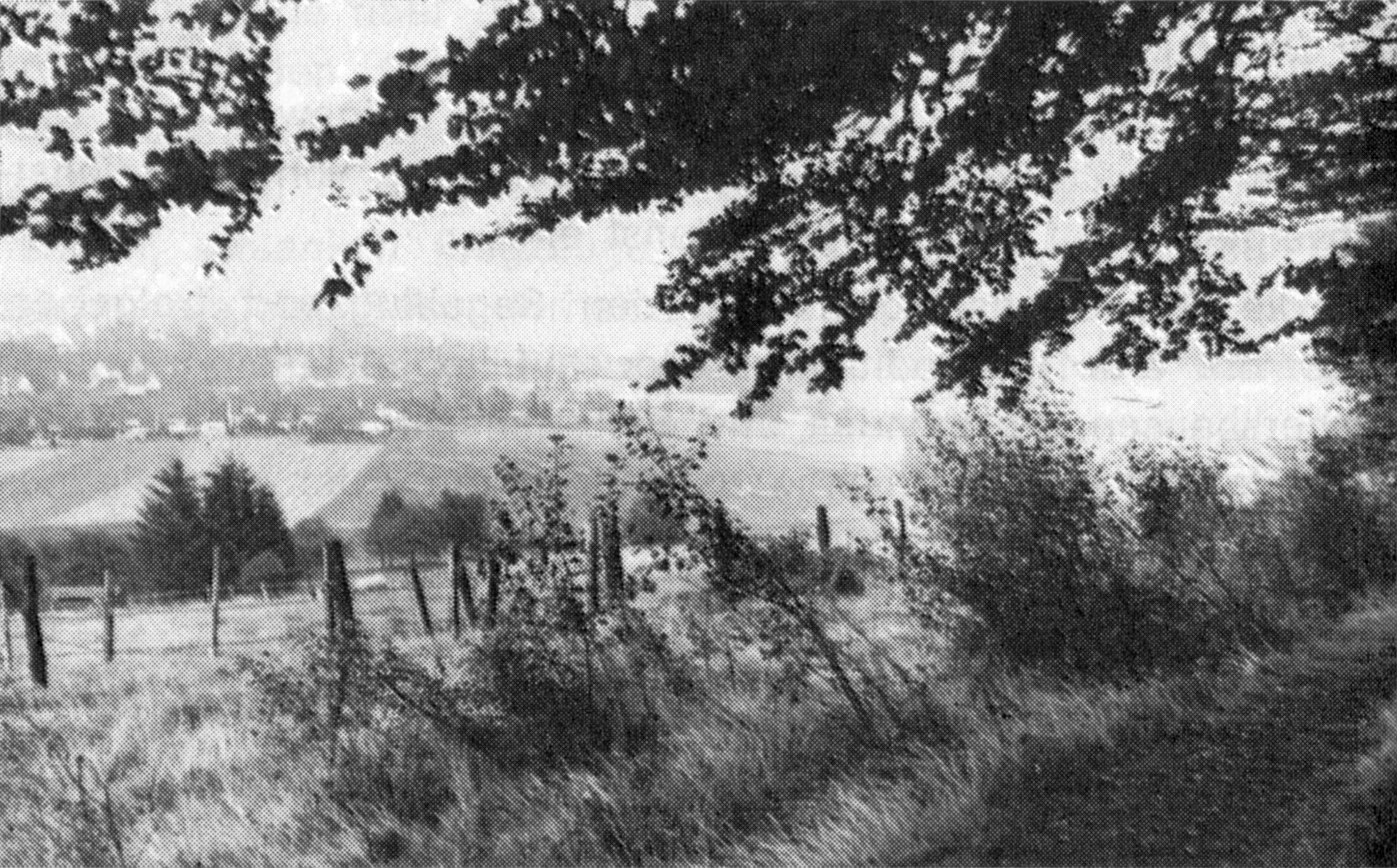 Wanderweg am Pfeffersberg